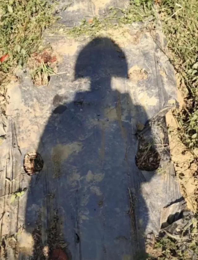 搞笑图片:老爸把他的秘书介绍给我,我觉得很不合适 搞笑图片:老爸把他的秘书介绍给我,我觉得很不合适