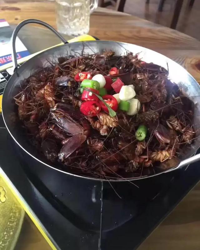 搞笑图片:老爸把他的秘书介绍给我,我觉得很不合适 搞笑图片:老爸把他的秘书介绍给我,我觉得很不合适