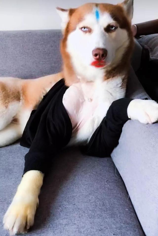 搞笑图片:老爸把他的秘书介绍给我,我觉得很不合适 搞笑图片:老爸把他的秘书介绍给我,我觉得很不合适