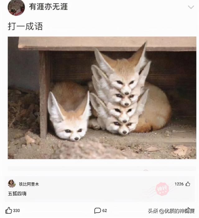 “女朋友出差,她闺蜜约我去海边玩,我该注意什么?”评论太皮了 “女朋友出差,她闺蜜约我去海边玩,我该注意什么?”评论太皮了