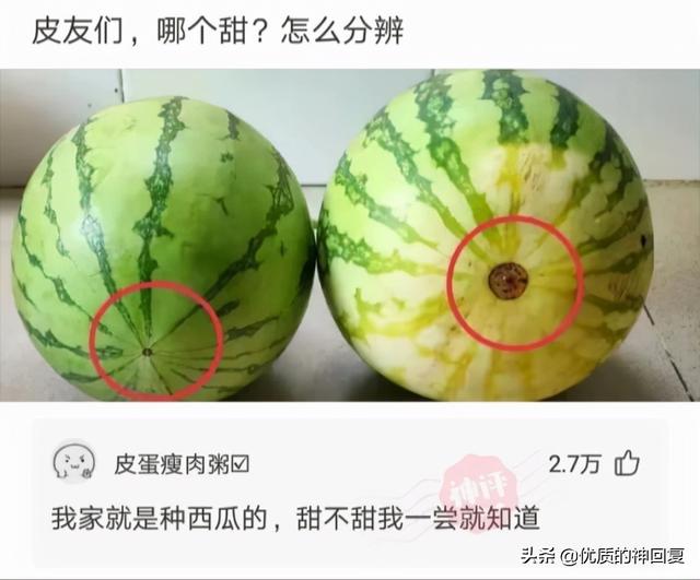 “女朋友出差,她闺蜜约我去海边玩,我该注意什么?”评论太皮了 “女朋友出差,她闺蜜约我去海边玩,我该注意什么?”评论太皮了