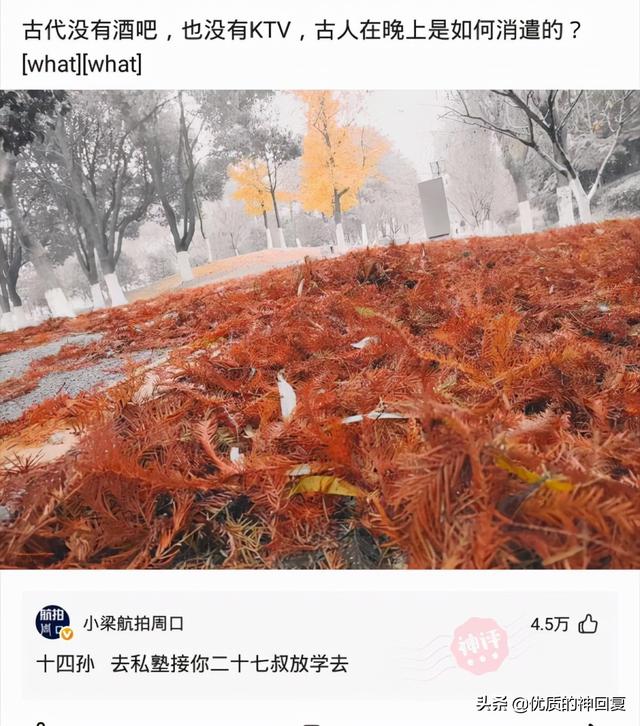 “女朋友出差,她闺蜜约我去海边玩,我该注意什么?”评论太皮了 “女朋友出差,她闺蜜约我去海边玩,我该注意什么?”评论太皮了