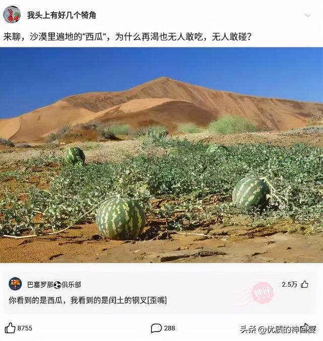 “女朋友出差，她闺蜜约我去海边玩，我该注意什么？”评论太皮了