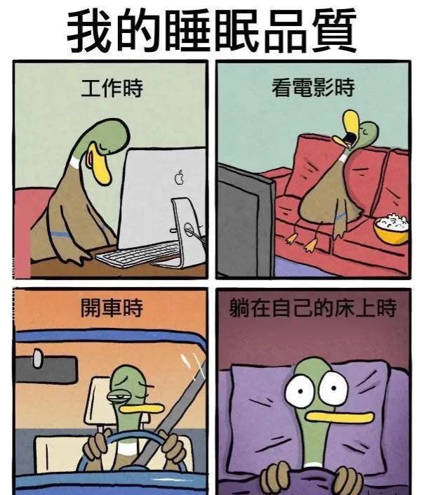 神回复:这种女网红,最后都会嫁给谁呢?神评太真实了 神回复:这种女网红,最后都会嫁给谁呢?神评太真实了