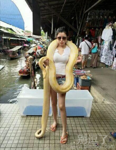 美女，这么粗的一条，你不怕吗？