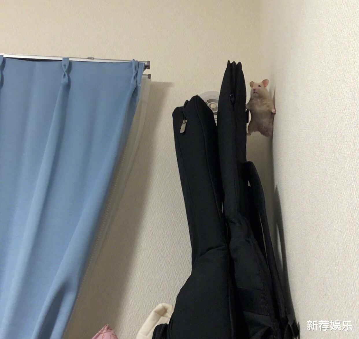 “一抬头被你吓得不轻!”哈哈哈哈~隔壁床的后脑勺长的挺别致! “一抬头被你吓得不轻!”哈哈哈哈~隔壁床的后脑勺长的挺别致!