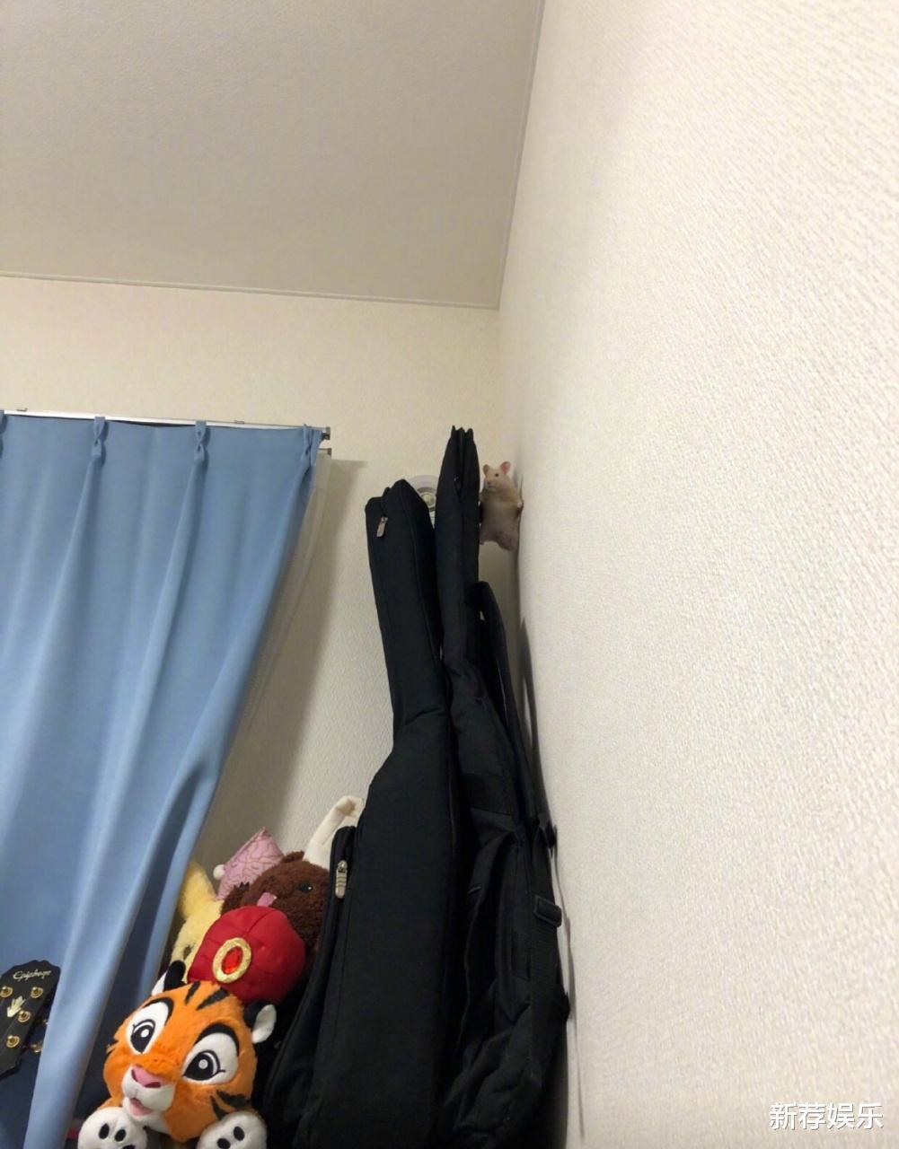 “一抬头被你吓得不轻!”哈哈哈哈~隔壁床的后脑勺长的挺别致! “一抬头被你吓得不轻!”哈哈哈哈~隔壁床的后脑勺长的挺别致!