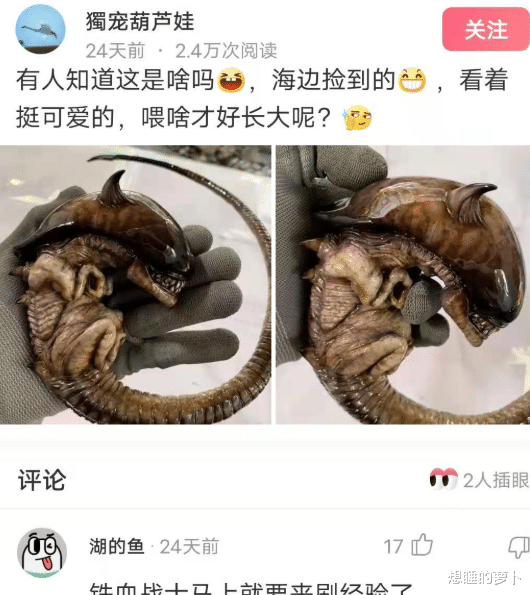 “为什么空姐都穿裙子,不穿裤子呢?评论区又开车了”哈哈哈 “为什么空姐都穿裙子,不穿裤子呢?评论区又开车了”哈哈哈