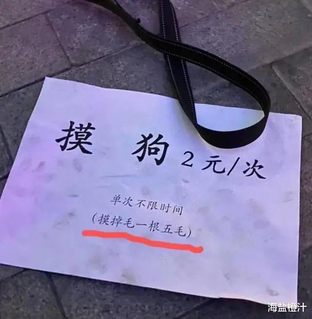 “网恋奔现能可怕到什么程度?”哈哈哈……童话里都是骗人的! “网恋奔现能可怕到什么程度?”哈哈哈……童话里都是骗人的!