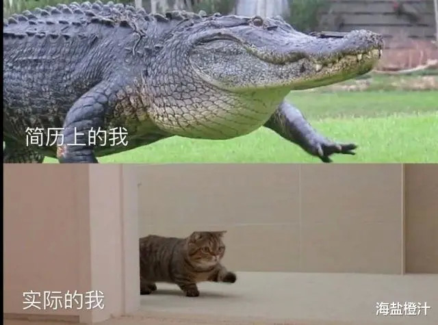 “网恋奔现能可怕到什么程度?”哈哈哈……童话里都是骗人的! “网恋奔现能可怕到什么程度?”哈哈哈……童话里都是骗人的!