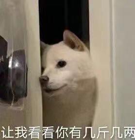 轻松一秒:那年我双手插兜,不知道什么叫做对手 轻松一秒:那年我双手插兜,不知道什么叫做对手