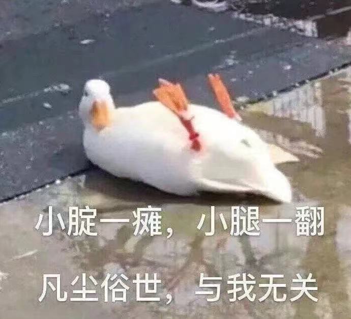 轻松一秒:那年我双手插兜,不知道什么叫做对手 轻松一秒:那年我双手插兜,不知道什么叫做对手