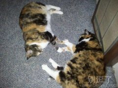 手拉手睡觉做个好梦