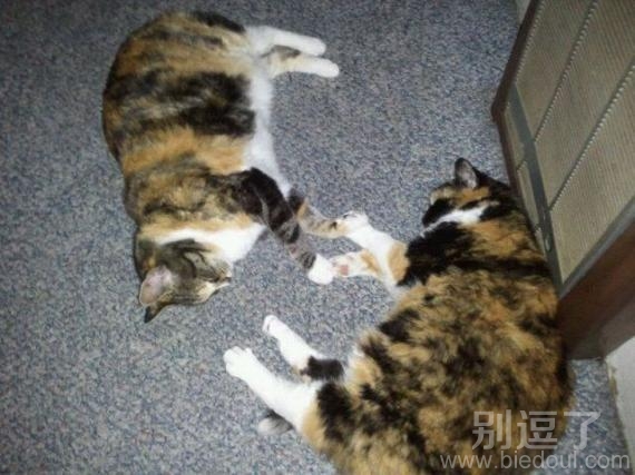 手拉手睡觉做个好梦