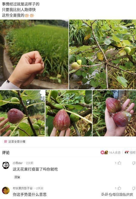 「盐选神回复」这枪口是射激光的? 「盐选神回复」这枪口是射激光的?