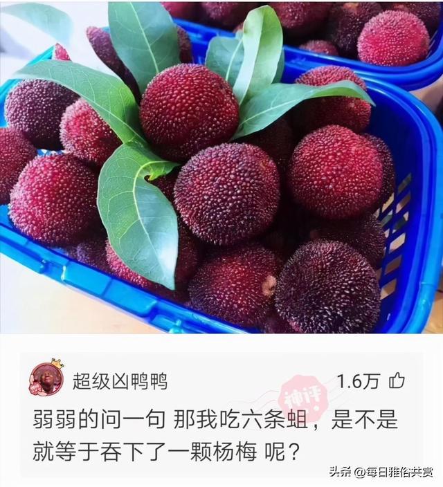 「盐选神回复」这枪口是射激光的? 「盐选神回复」这枪口是射激光的?