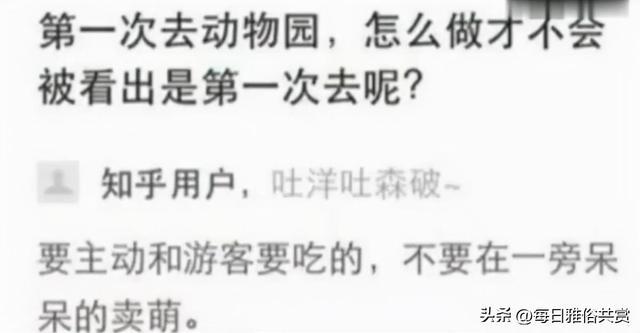 「盐选神回复」这枪口是射激光的? 「盐选神回复」这枪口是射激光的?