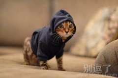 我混黑社会,你呢? 我混黑社会,你呢?