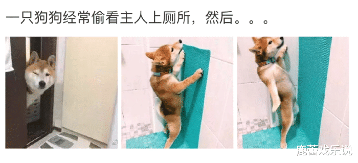男厕所里贴“勿嘲人短,勿炫己长”,女生厕所的台词应该写什么呢?哈哈哈 男厕所里贴“勿嘲人短,勿炫己长”,女生厕所的台词应该写什么呢?哈哈哈