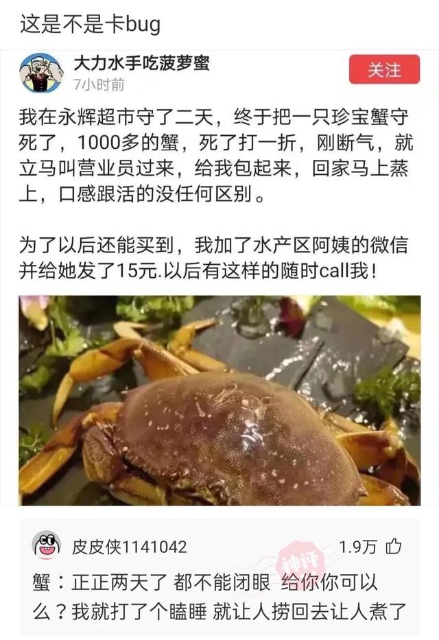 神回复：我也不想秒懂的，只是太明显了