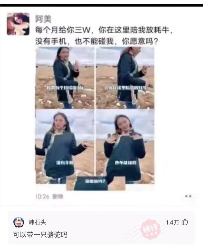 每个月给3w,在这陪我放牦牛但不能碰我,愿意吗?网友:可以带骆驼吗? 每个月给3w,在这陪我放牦牛但不能碰我,愿意吗?网友:可以带骆驼吗?