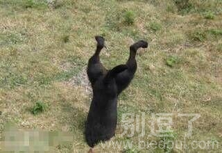 下次再也不极速跑了 下次再也不极速跑了