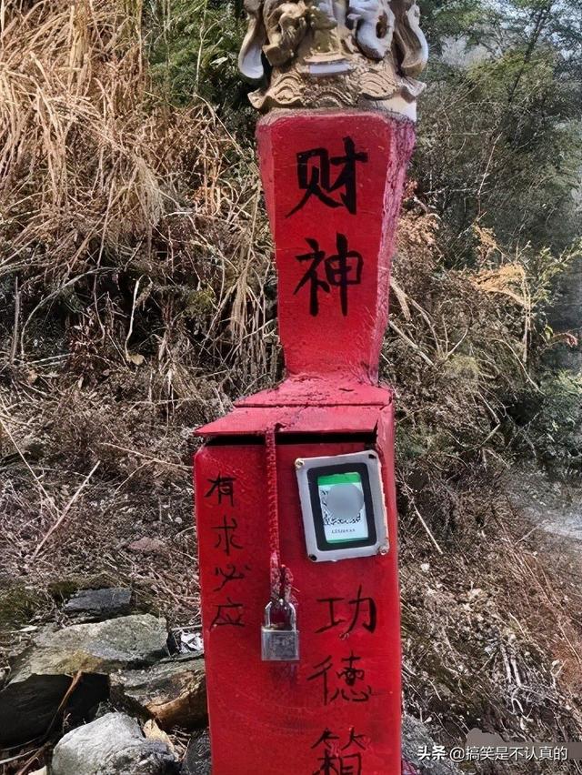老板为了提高店里女装的销量,竟然亲自上阵展示,这也太拼了吧 老板为了提高店里女装的销量,竟然亲自上阵展示,这也太拼了吧
