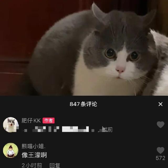 “网红P图可以有多离谱?”网友:再也不敢相信网上的美女了 “网红P图可以有多离谱?”网友:再也不敢相信网上的美女了