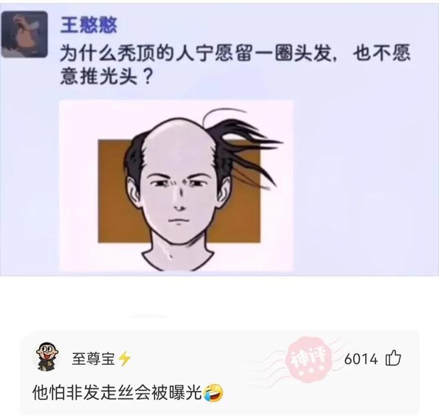 神回复:你成功填补了会画画的和不会画画的人之间的空白 神回复:你成功填补了会画画的和不会画画的人之间的空白