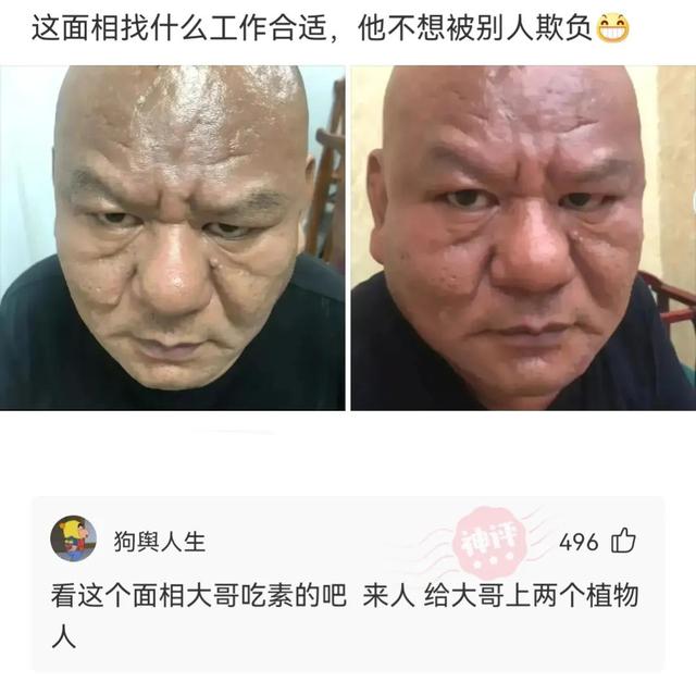 神回复:你成功填补了会画画的和不会画画的人之间的空白 神回复:你成功填补了会画画的和不会画画的人之间的空白