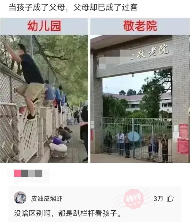 神回复:你成功填补了会画画的和不会画画的人之间的空白 神回复:你成功填补了会画画的和不会画画的人之间的空白