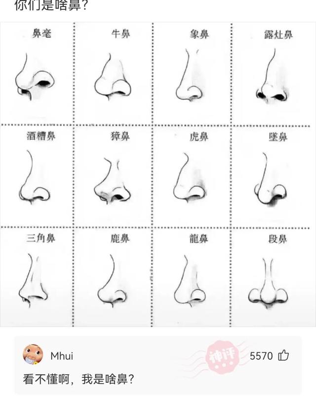 神回复:你成功填补了会画画的和不会画画的人之间的空白 神回复:你成功填补了会画画的和不会画画的人之间的空白