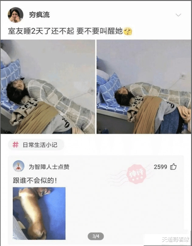 神回复:室友睡了两天了,我该不该叫她起床啊?神评亮了 神回复:室友睡了两天了,我该不该叫她起床啊?神评亮了