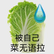 被自己菜无语拉