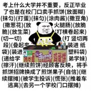 考上什么大学并不重要,反正毕业了也是在校门口卖手抓饼(放面糊)(抹匀)(打蛋)(抹匀)(涂肉酱