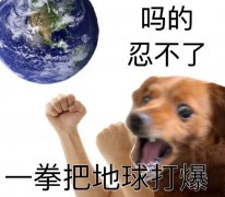 吗的忍不了一拳把地球打爆