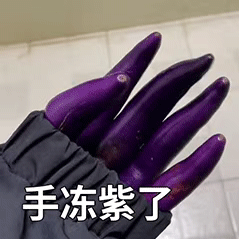 手冻紫了