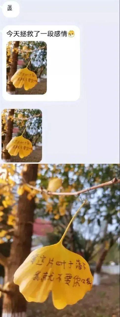 【每日十图】一次性遇见五个黑丝女仆装,画面太太太燃了 【每日十图】一次性遇见五个黑丝女仆装,画面太太太燃了