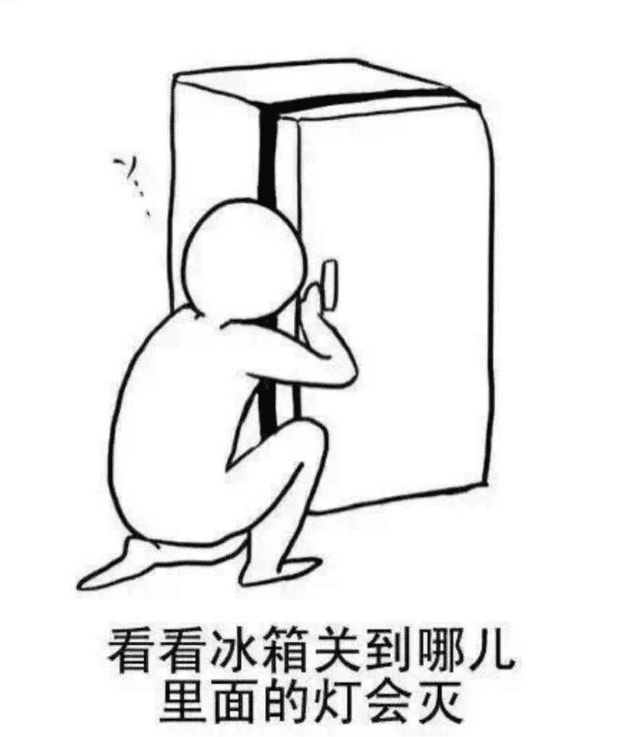 南方猫第一次体验北方地暖样子,没见过世面的样子真可爱! 南方猫第一次体验北方地暖样子,没见过世面的样子真可爱!
