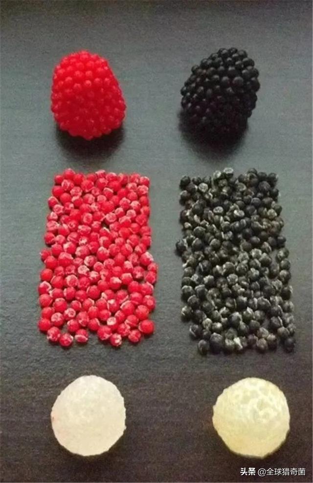 30张图片告诉你,人究竟能无聊到什么程度 30张图片告诉你,人究竟能无聊到什么程度