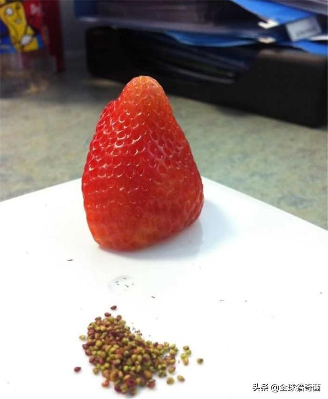 30张图片告诉你,人究竟能无聊到什么程度 30张图片告诉你,人究竟能无聊到什么程度