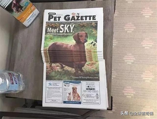 30张图片告诉你,人究竟能无聊到什么程度 30张图片告诉你,人究竟能无聊到什么程度
