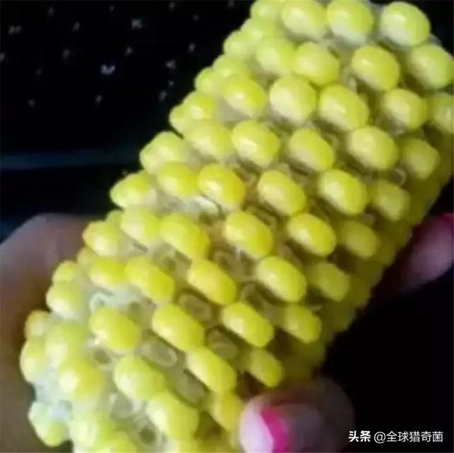30张图片告诉你,人究竟能无聊到什么程度 30张图片告诉你,人究竟能无聊到什么程度