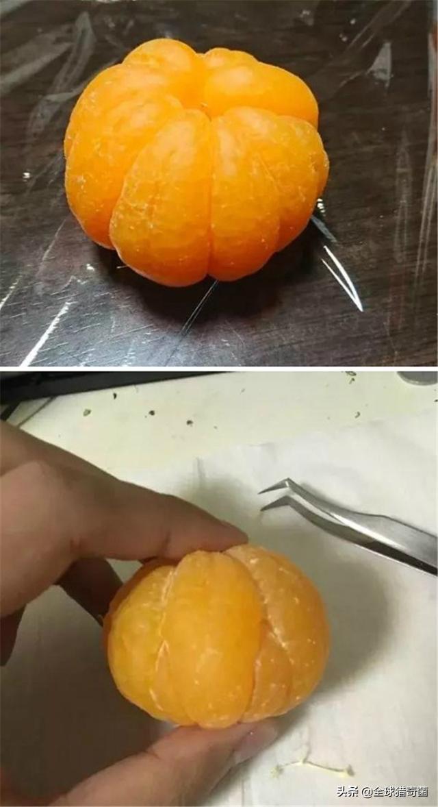 30张图片告诉你,人究竟能无聊到什么程度 30张图片告诉你,人究竟能无聊到什么程度
