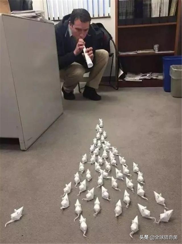 30张图片告诉你,人究竟能无聊到什么程度 30张图片告诉你,人究竟能无聊到什么程度