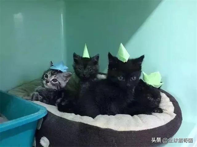 30张图片告诉你,人究竟能无聊到什么程度 30张图片告诉你,人究竟能无聊到什么程度