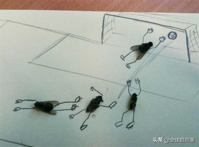 30张图片告诉你,人究竟能无聊到什么程度 30张图片告诉你,人究竟能无聊到什么程度