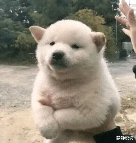 “男生什么事情可以做到全国统一?”哈哈哈哈有趣 “男生什么事情可以做到全国统一?”哈哈哈哈有趣