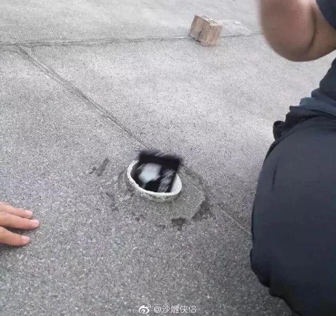轻松一秒:不是吧!这都拿不下你? 轻松一秒:不是吧!这都拿不下你?