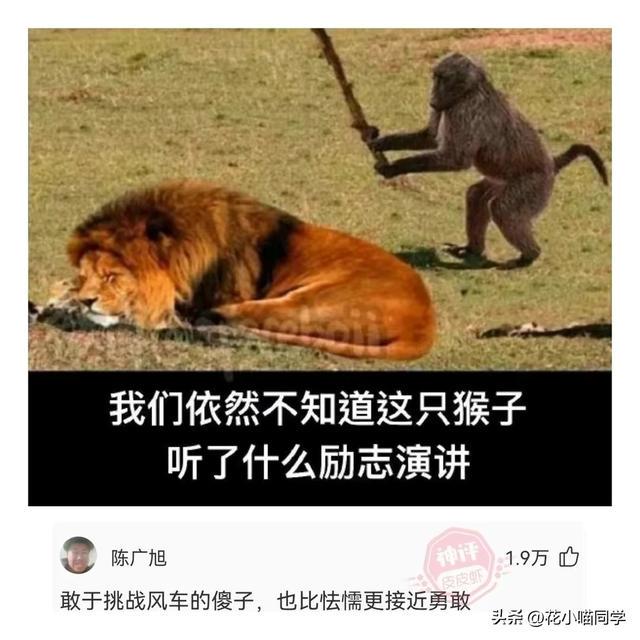 姑娘为了漂亮也是够拼了穿这么高的鞋跟,对面的大爷都不忍直视了 姑娘为了漂亮也是够拼了穿这么高的鞋跟,对面的大爷都不忍直视了